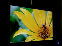 最低功耗仅74W!康佳37寸新品液晶评测