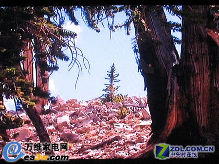  KLV-46X200AҺHQV۲ԲοͼƬ-