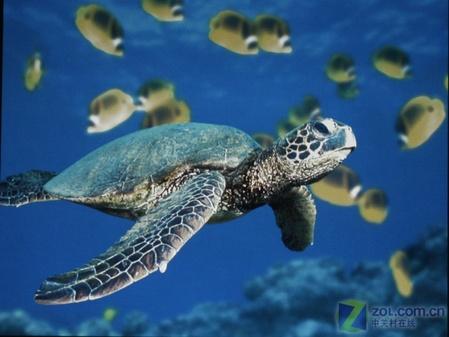 ��������֮�ǰ�ͼ��ͶӰ��EP709����(10)