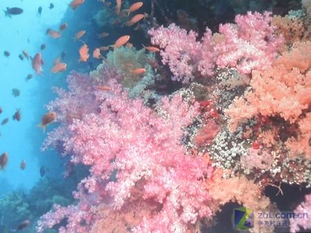 ��������֮�ǰ�ͼ��ͶӰ��EP709����(10)