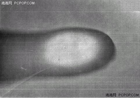 图片为证 夏普LCD屏可以直接扫描指纹