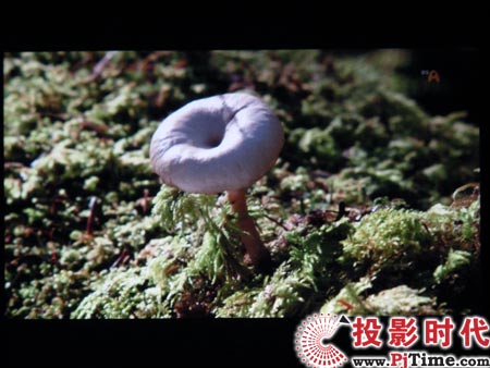 点击放大,三星LED投影机SP-P310ME