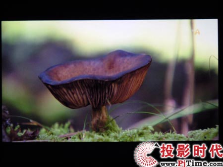 点击放大,三星LED投影机SP-P310ME