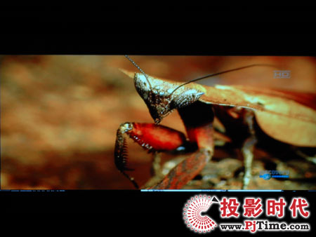 点击放大,TCL液晶电视DTL42E9FQ电脑高清视频效果