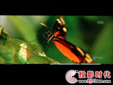 点击放大,TCL液晶电视DTL42E9FQ电脑高清视频效果