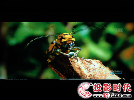 点击放大,TCL液晶电视DTL42E9FQ电脑高清视频效果