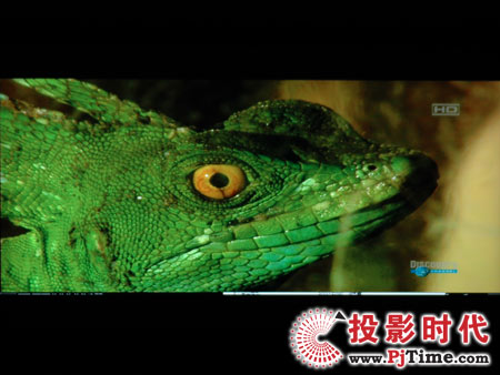 点击放大,TCL液晶电视DTL42E9FQ电脑高清视频效果