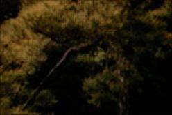 ʶ֥46FH7000Һ(4)