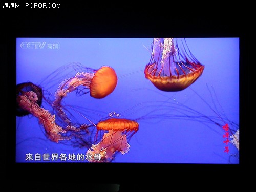 ̭ TCL46TVһ