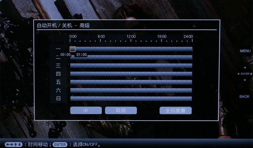 DPF-V1000