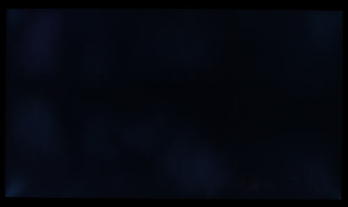 ʾܲ뻭ʿ