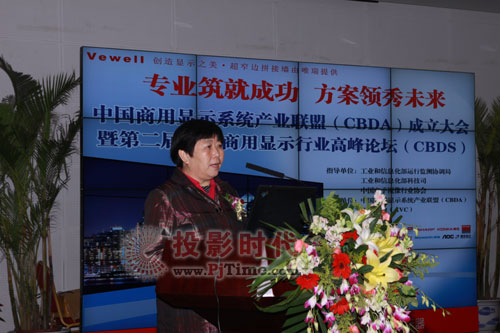 视像协会副会长白为民在第二届中国商用显示行业高峰论坛致辞