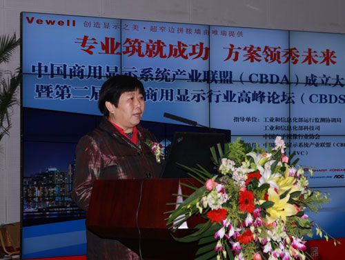 中国电子视像协会副会长兼秘书长白为民