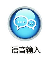 语音输入