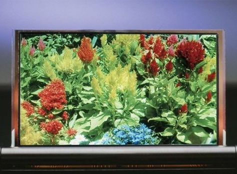 ŰʼOLED