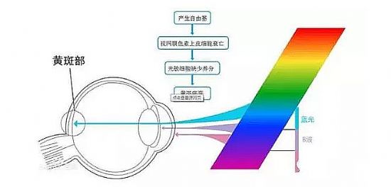 通过放大镜聚焦的原理可以得到什么(3)