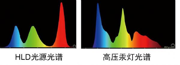 领跑教育投影市场，BOXLIGHT HLD投影机落户威海三中