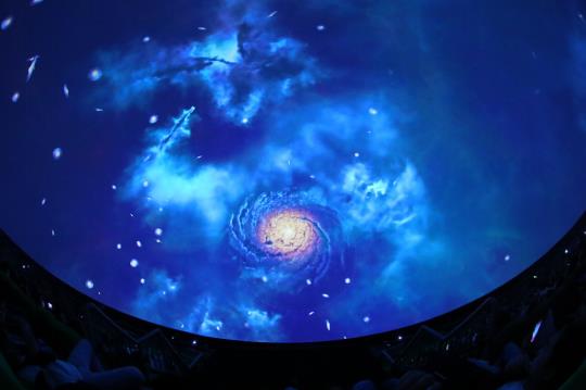  与会来宾欣赏《我们都是小星星》、《时间旅行》等多部8K特效影片 