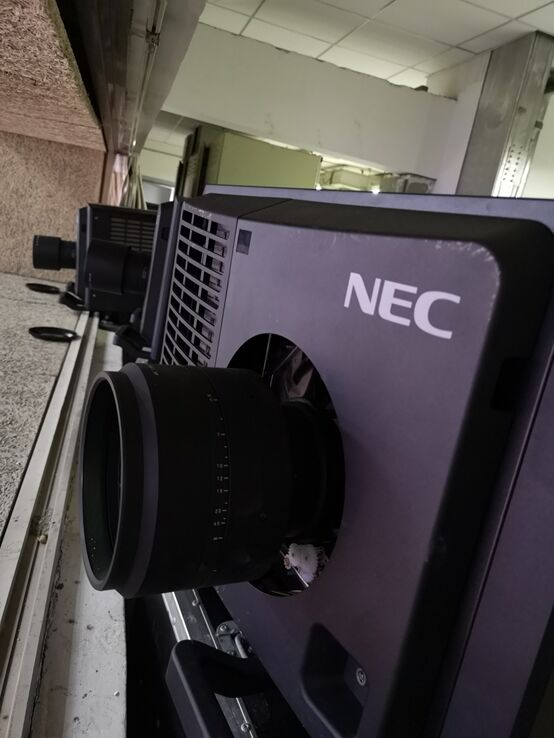ֱʡ˶ NECȫ