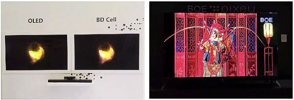 BD Cell ʾ