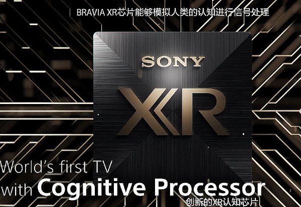 ᲻Ѱ·:֪оƬCognitive Processor XR