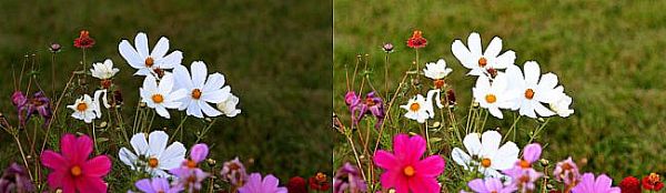 AET̩ƷΣQCOBƷģ