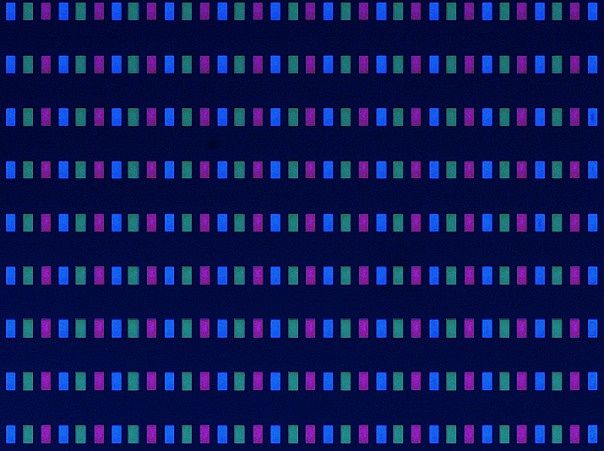 ѵ㼼 | ǹMicro LED½