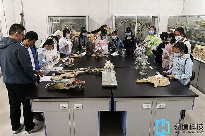 动物虚拟解剖系统：虚拟仿真技术在动物解剖学中的应用
