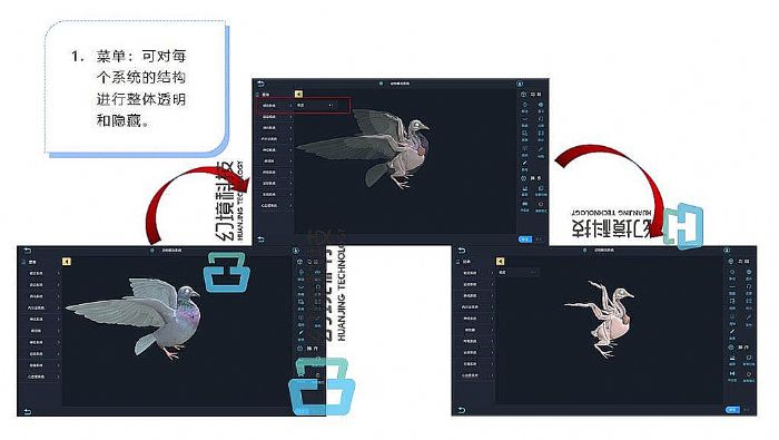 动物虚拟解剖系统：虚拟仿真技术在动物解剖学中的应用