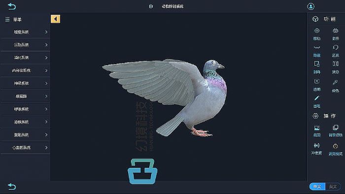 动物虚拟解剖系统：虚拟仿真技术在动物解剖学中的应用