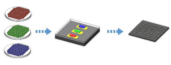 minimicro LED¼Ҳ