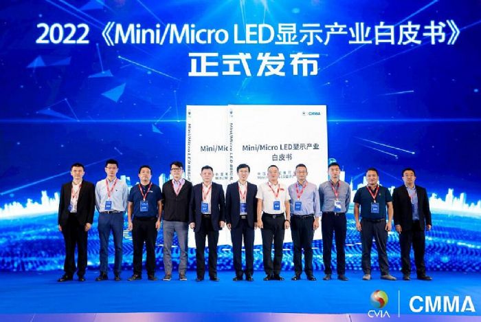 2022йMini/Micro LEDҵ̬ῪĻɭƷ³ɹ