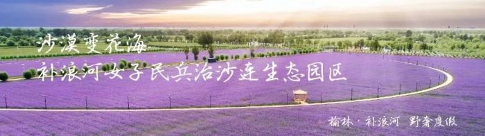 金東數(shù)創(chuàng)聯(lián)手都市更新集團(tuán)，打造文化消費新場景，助力文旅數(shù)字化產(chǎn)業(yè)升級