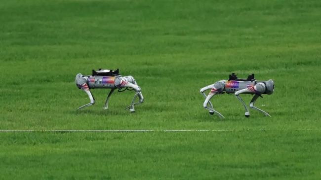 从AI、机器人到AR，杰和科技带你盘点杭州亚运会“黑科技”