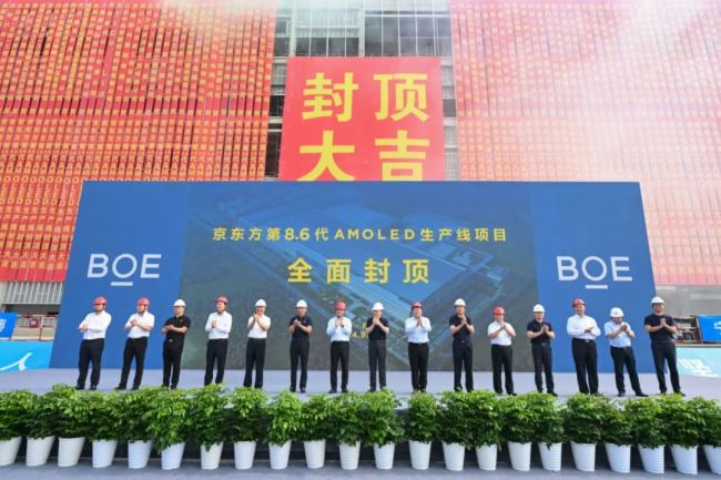 ؼ | BOE2024ʮȵ¼
