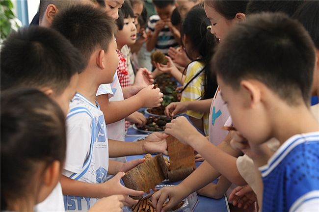 2025ȫ¢̽ɭֱأɭʳƷȻ