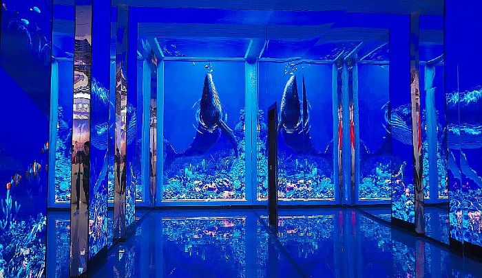 ����������أ��ݿ�Ϊ����LEDֱ���Ͽ��������ġ�ģʽ