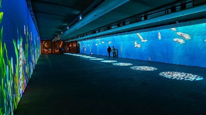 1764320169325168.png image.png