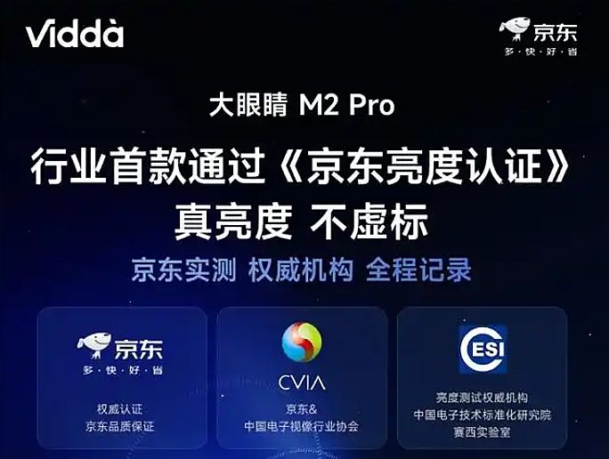 2025��ͶӰ��ҵ�ܽ᣺�¼�������������������ڵ͹��н��нṹ������