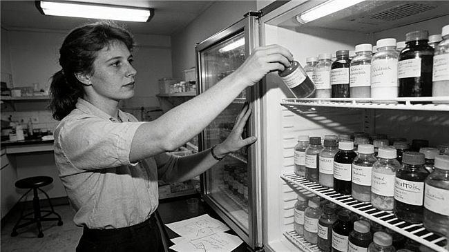 从一位母亲的厨房到全球信赖:Organic Garden奥己的30余年纯净承诺