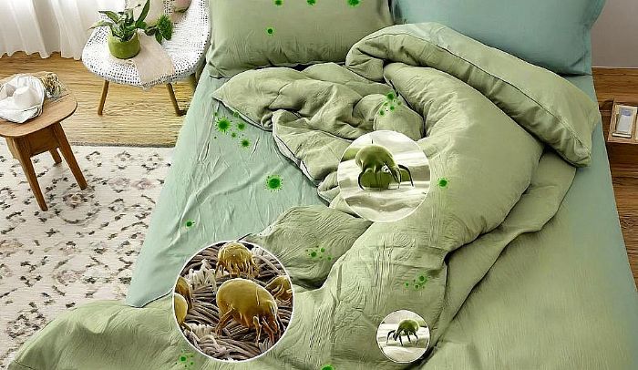 除螨剂对人体有害吗?公认排行前十的除螨剂品牌,仙贝宁品质认证+SGS检测,无刺激更安心