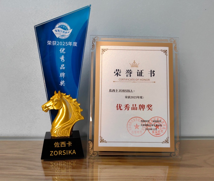 肩负荣誉、背负责任,佐西卡为推动大屏视听行业高质量发展贡献力量