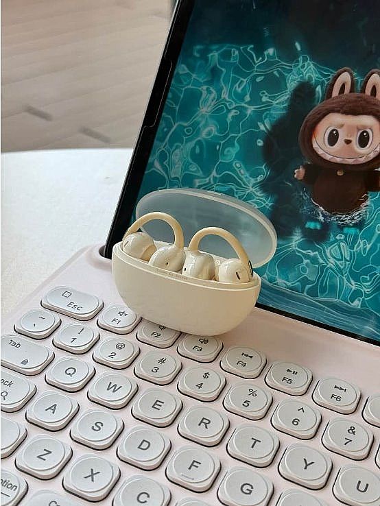 ��������Ʒ���Ƽ� 2026 ���Լ۱�֮ѡ����˼����ʽ����ʽ��������ѡ