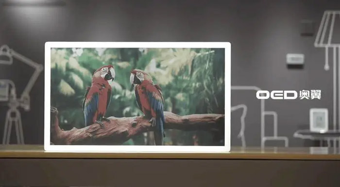 ����������άս����50��Ԫ����Ѻע����ֽ���ܷ�����ͷ��δ��