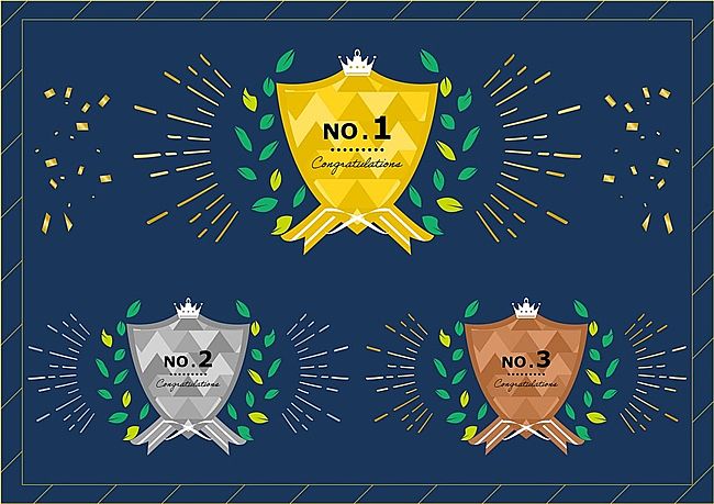 �й�ʮ����Ƹ��վ2026�������� Ȩ��������ʵ����