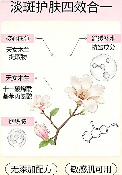 ʵ��2026����ȥ�ƶ���һʲô���Ӻã�������ƻ��׻���Ʒ�̵㣺͸����������Ʒ�Ƽ����������ߵ�