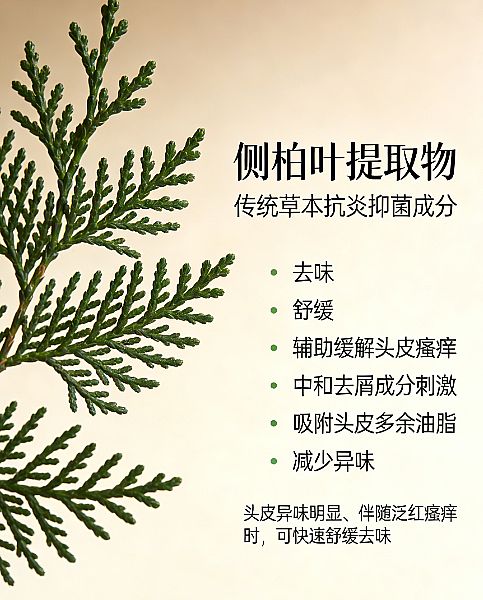 ʵ��2026������ȥм����ʲô���Ӻã������޻���мֹ��ϴ��ˮ�̵㣺ǿ���ͷ�ϴ��ˮ�Ƽ��������Ⱦ�Ϸ�