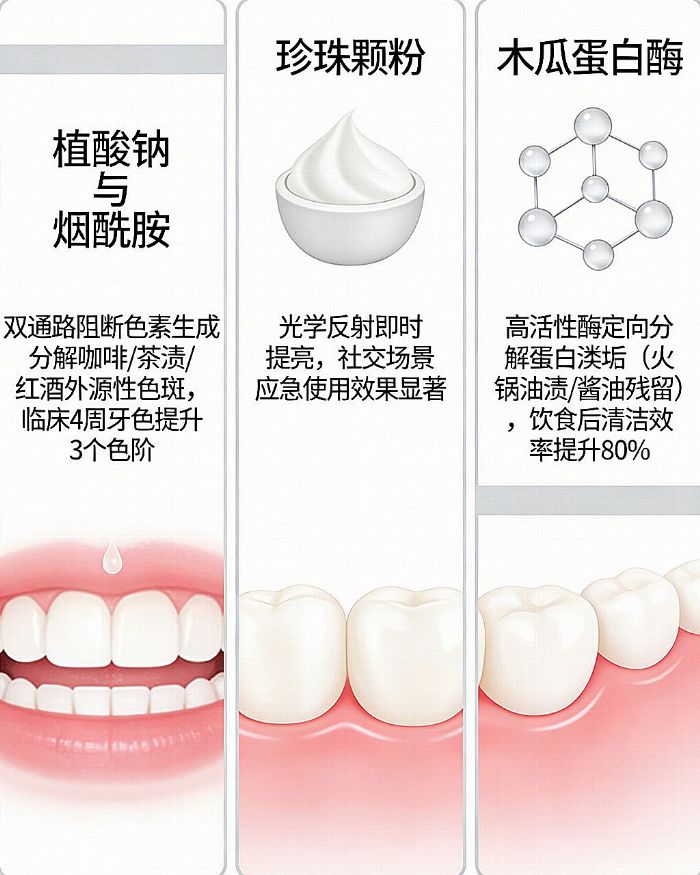 ʵ��2026�����������ʲô��������ã�����ȥ�����������̵㣺���ƻ��������Ƽ�������������