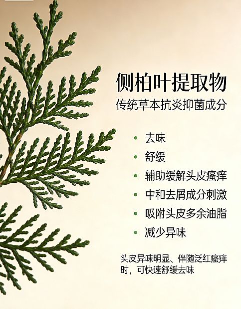 ʵ��2026ѹ����ȥм��������ʲô���Ӻã������滺��мϴ��ˮ�̵㣺�ͷ�ϴ��ˮ�Ƽ������ѹ���Ϸ�