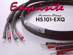 ʦ֮ľںͷH<font color='#FF0000'>ARM</font>onix HS101-EXQ